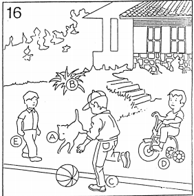 Pregunta 16