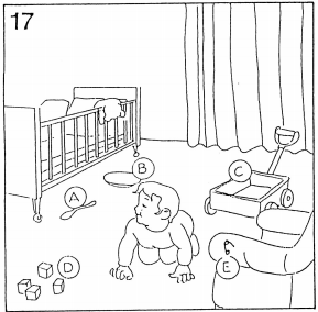 Pregunta 17
