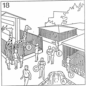 Pregunta 18