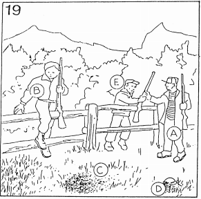Pregunta 19