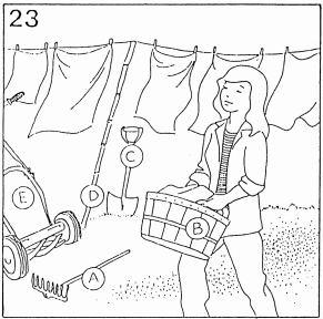 Pregunta 23