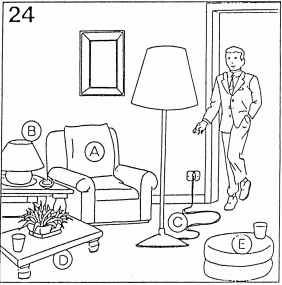 Pregunta 24