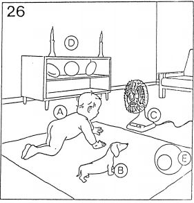 Pregunta 26