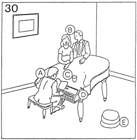 Pregunta 30