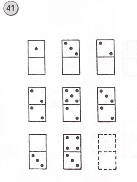 Pregunta 41